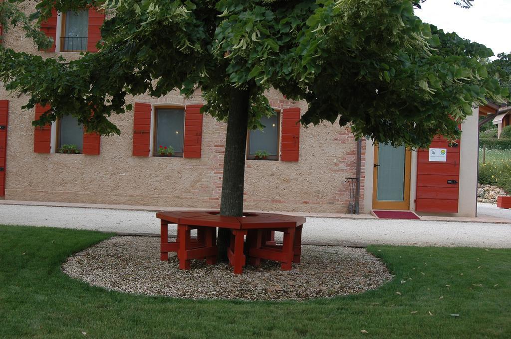 Agriturismo La Paterna Giavera del Montello Buitenkant foto